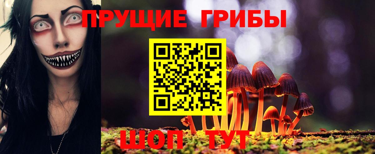 Псилоцибиновые грибы ЛСД Лениногорск